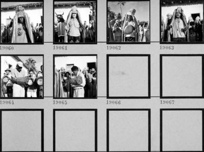 Bumba meu boi, festa popular