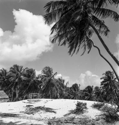 Jangadas e jangadeiros