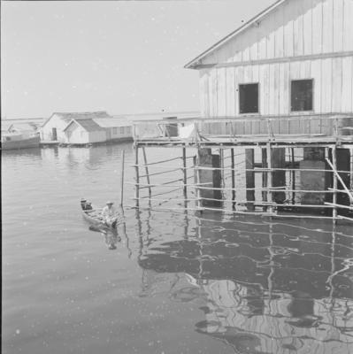 Palafitas flutuantes