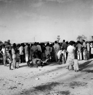 Bumba Meu Boi, festa popular