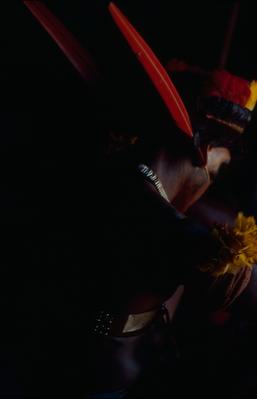 Série Xingu - Festa do Jawari