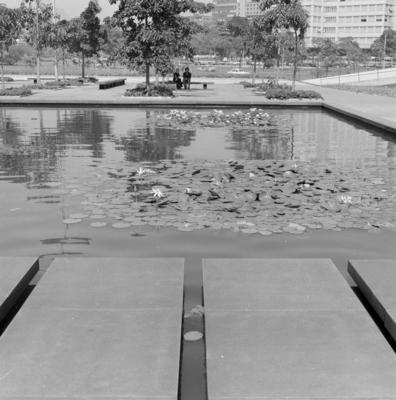 Museu de Arte Moderna - MAM