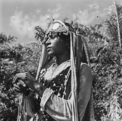 Bumba meu boi, festa popular