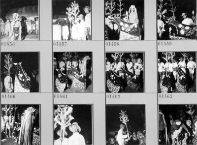 Bumba meu boi, festa popular