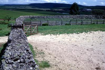 Ruínas em área rural