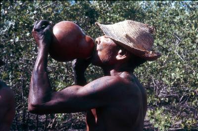 Série Caranguejeiras - Catador de caranguejo
