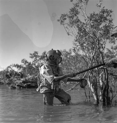 Garimpo de diamantes na Boca do Tauiri