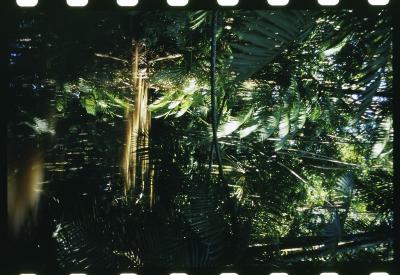 Projeto "Navegar Amazônia"