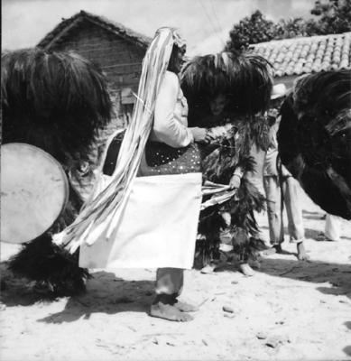 Bumba meu boi, festa popular