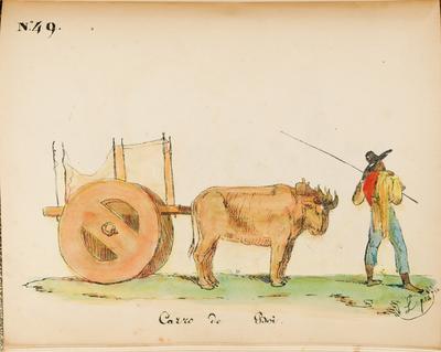 Nº 49. Carro de Boi