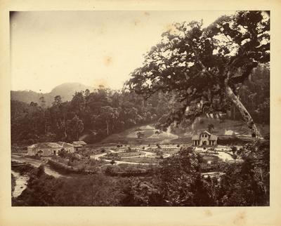 Residência com jardim planejado