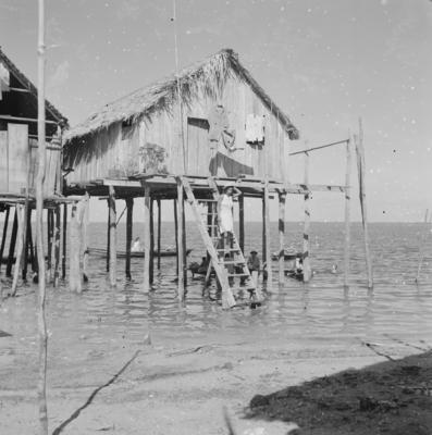 Palafitas flutuantes