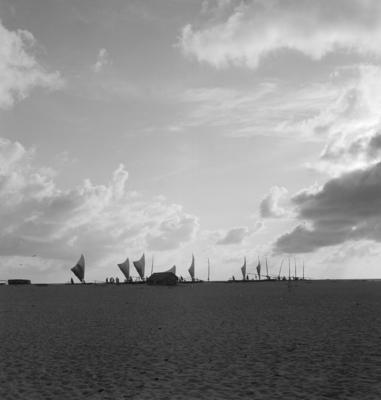 Jangadas e jangadeiros