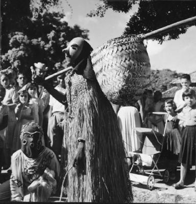 Bumba meu boi, festa popular