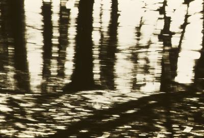 Exercício fotográfico com a câmera em movimento