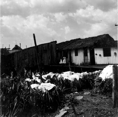 Vila da Barca, palafitas flutuantes