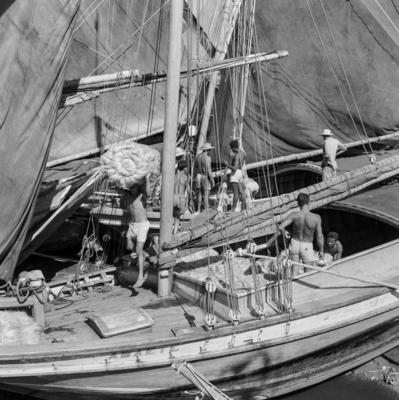 Homens descarregando juta