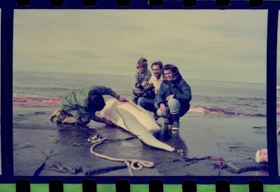 Viagem com a bióloga Livia Monami para registrar a caça da baleia branca