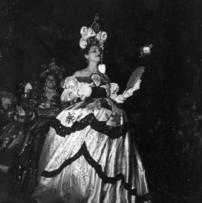 Destaques no desfile de agremiações do carnaval pernambucano