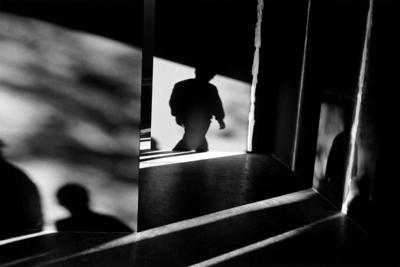 Sombras na Oca (Pavilhão Nogueira Garcez)