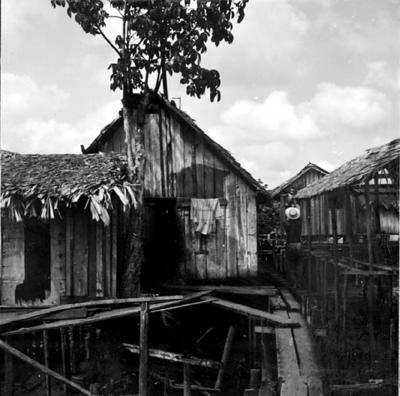 Vila da Barca, palafitas flutuantes