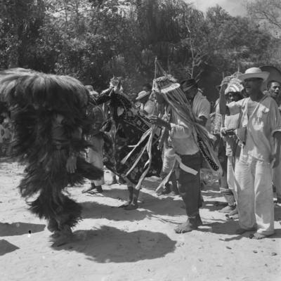 Bumba meu boi, festa popular