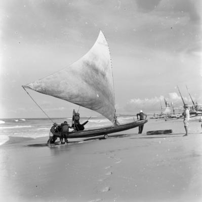 Jangadas e jangadeiros