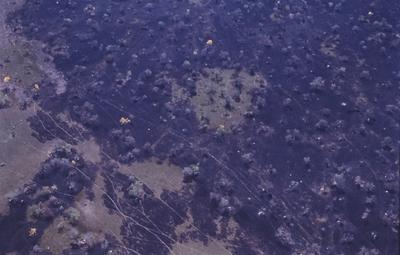 Vista aérea de área desmatada