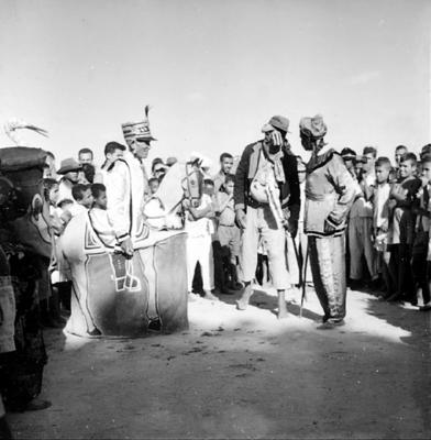 Bumba Meu Boi, festa popular