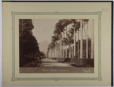 Rua Jardim Botânico