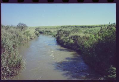 Produção de filme institucional sobre usinas de açúcar