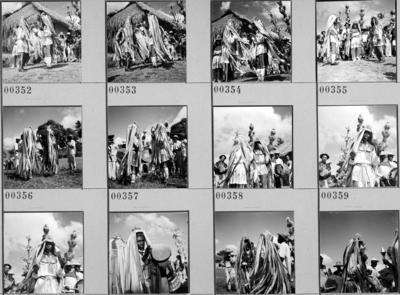 Bumba meu boi, festa popular