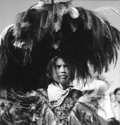 Bumba meu boi, festa popular