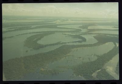 Vista aérea de Manaus