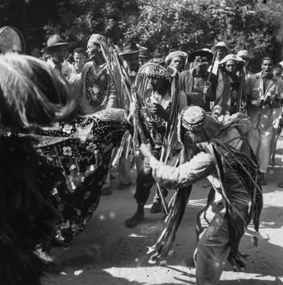 Bumba meu boi, festa popular