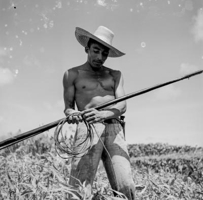 Caça de jacarés na Ilha Mexiana