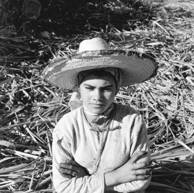 Lavoura canavieira, trabalhadores