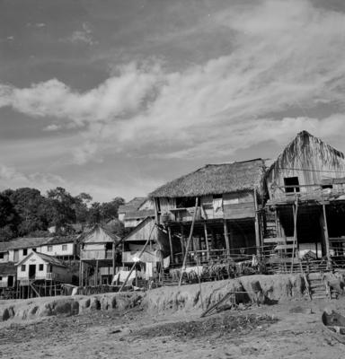 Bumba meu boi, festa popular