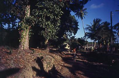 Série Caranguejeiras