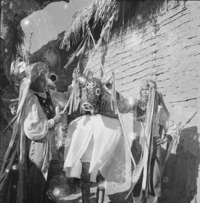 Bumba meu boi, festa popular