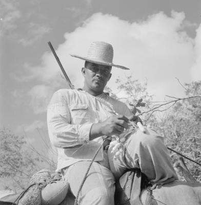 Vaqueiro - Ilha Mexiana