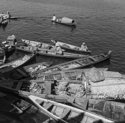 Palafitas flutuantes