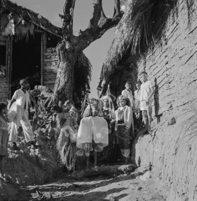 Bumba meu boi, festa popular