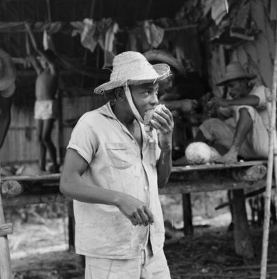 Rancho de trabalhadores - Ilha de Marajó