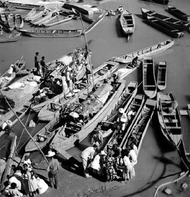 Cena do Rio São Francisco