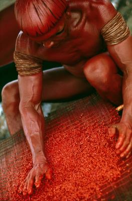 Série Xingu - Homem do povo Mehinako prepara a pasta de urucum