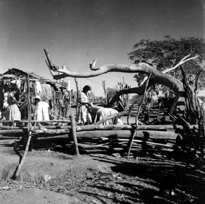 Acampamento de romeiros