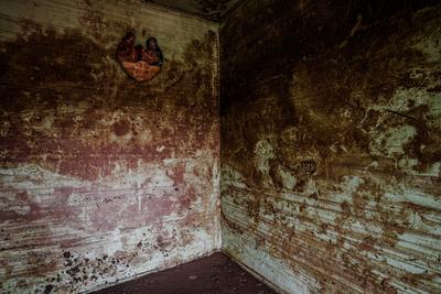 Região serrana, Rio de Janeiro, janeiro de 2011