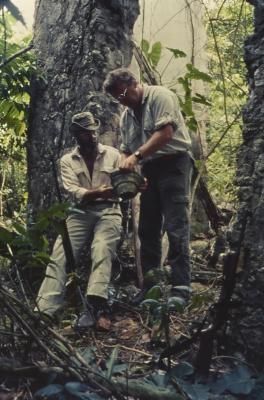 Expedição Pico da Neblina