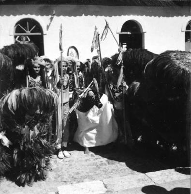 Bumba meu boi, festa popular